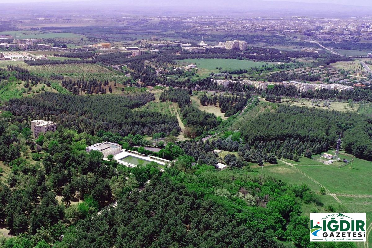 Dicle Üniversitesi’nin kampüsünde petrol bulundu! 6 sondaj kuyusu açılacak