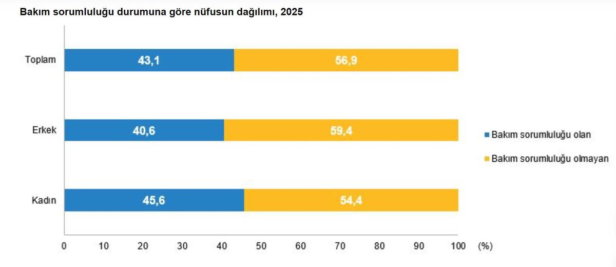 2025’te Türkiye’de Bakım Sorumluluğu ve İstihdam