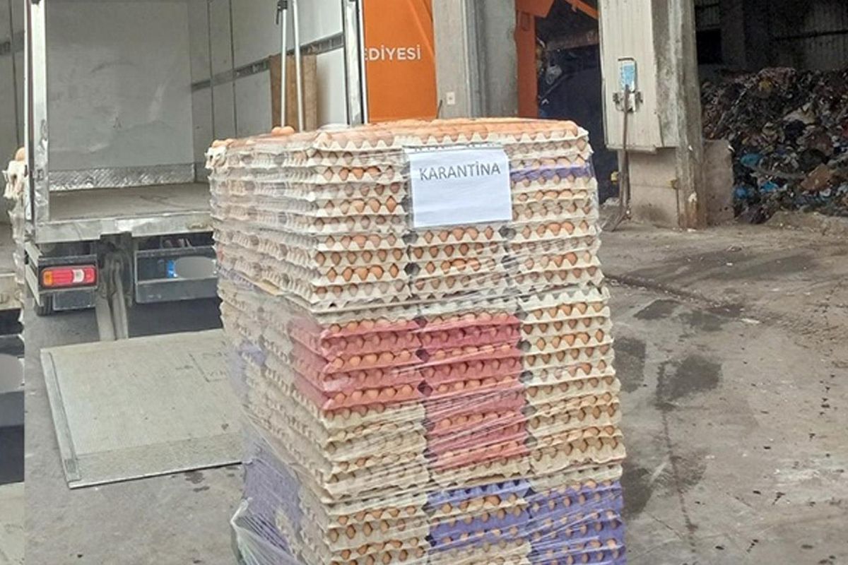 Yumurtada akıl almaz hile! Ekipler hepsini toprağa gömdü
