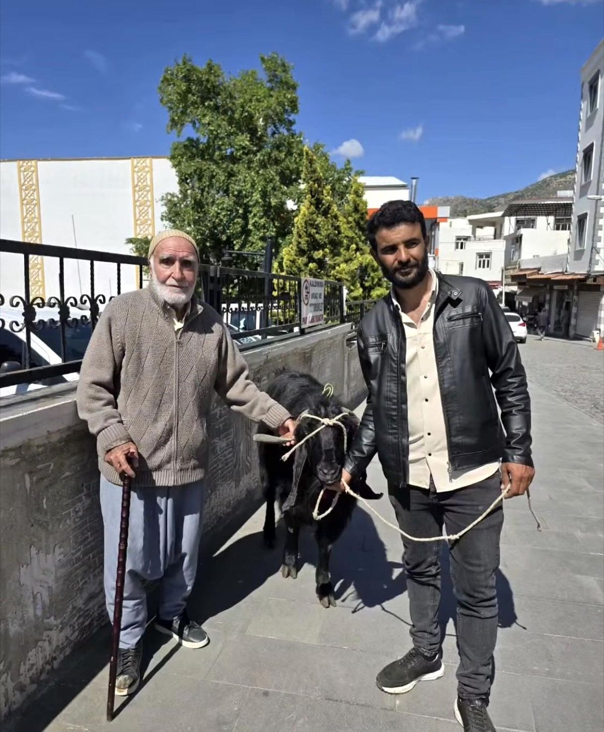 Diyarbakır’da 70 Kiloluk Keçi 36 Bin Liraya Satıldı