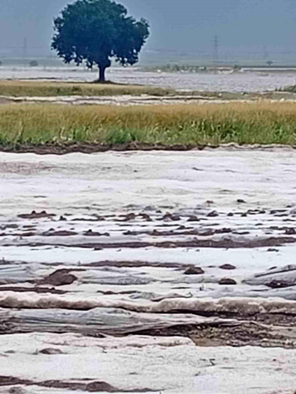 Adana’da Dolu Yağışı Tarım Arazilerine Zarar Verdi