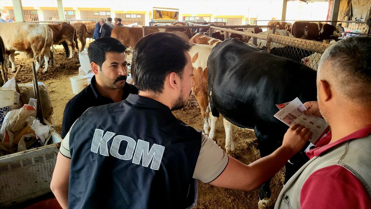 Adıyaman’da Dolandırıcılık Uyarısı
