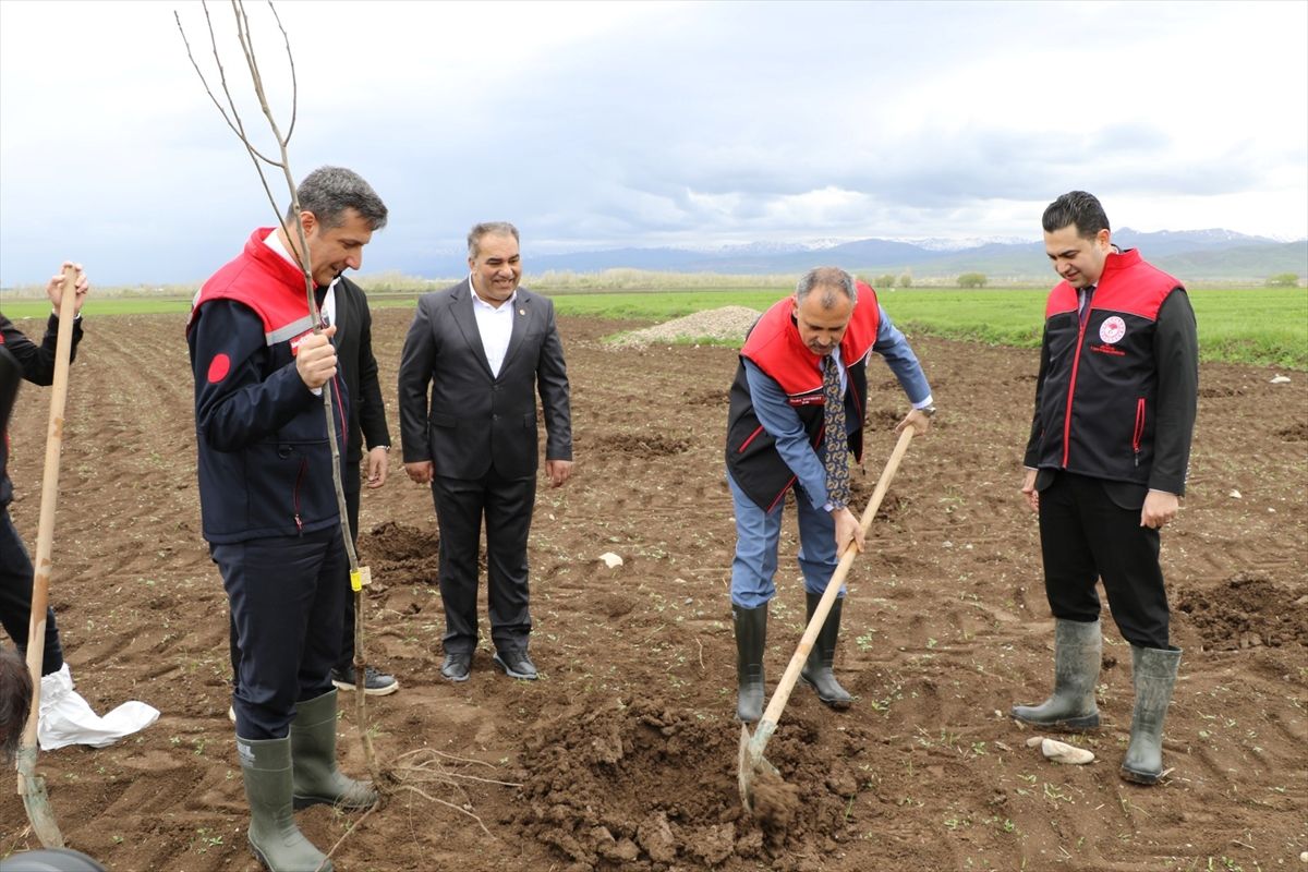 Ağrı’da Çiftçilere Fidan Desteği
