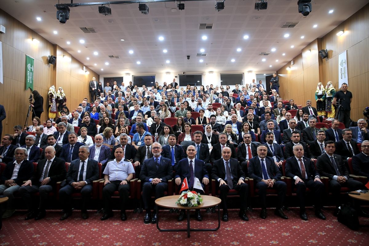 Manisa’da Zeytinyağı Çalıştayı: Üretimde Büyük Artış