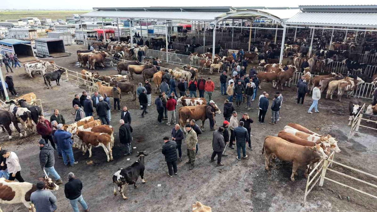 Aksaray’da Kurbanlık Hayvan Pazarı Hareketlendi