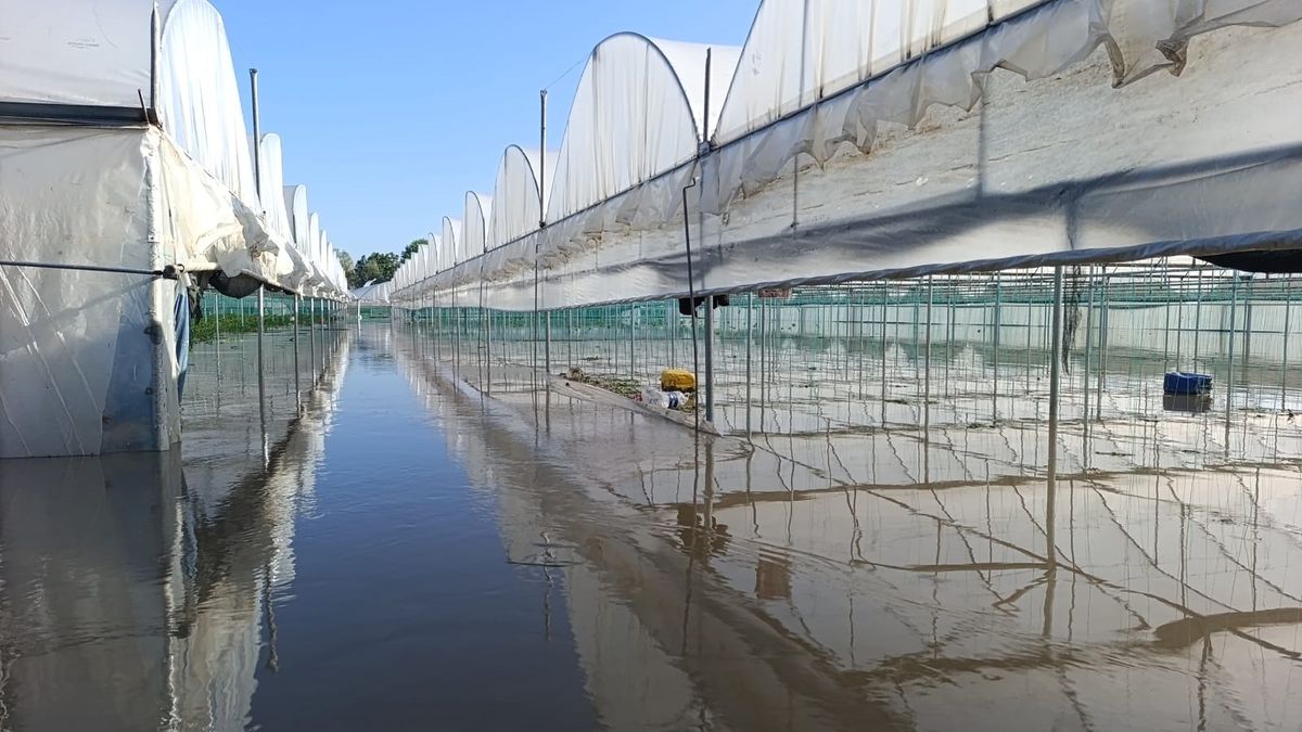 Amasya’da Sel Tarım Arazilerini Vurdu