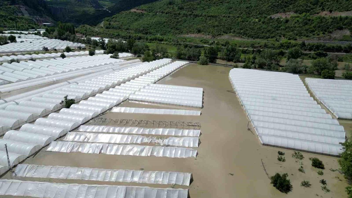 Amasya’da Nehir Taşması Tarım Arazilerini Sular Altında Bıraktı