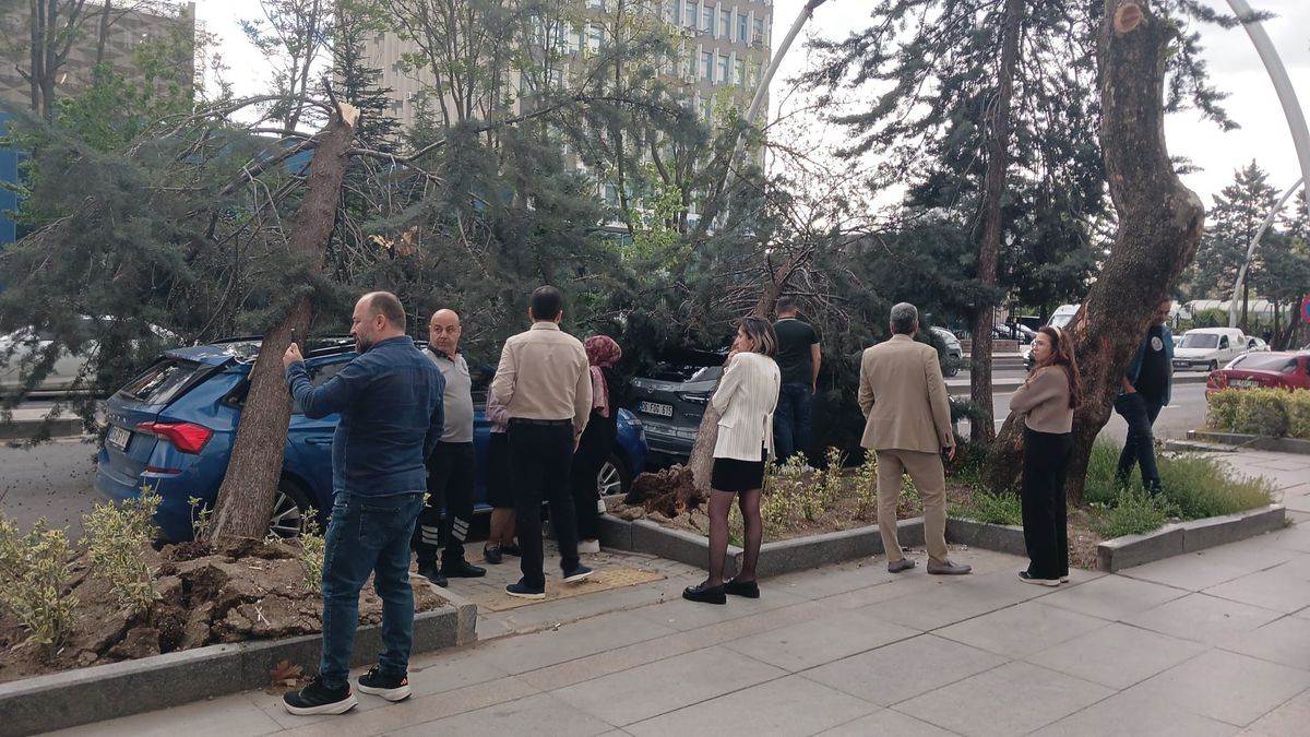 Ankara’da Kuvvetli Rüzgar Zarara Neden Oldu
