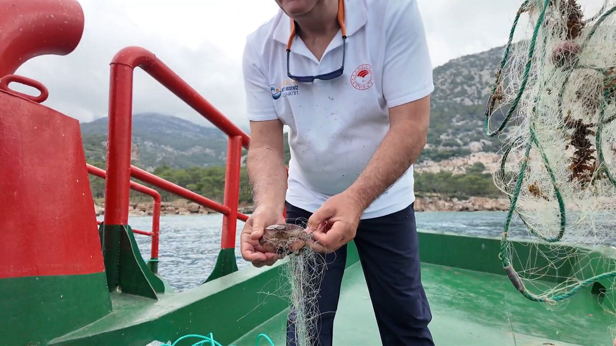 Antalya’da Hayalet Ağ Temizliği