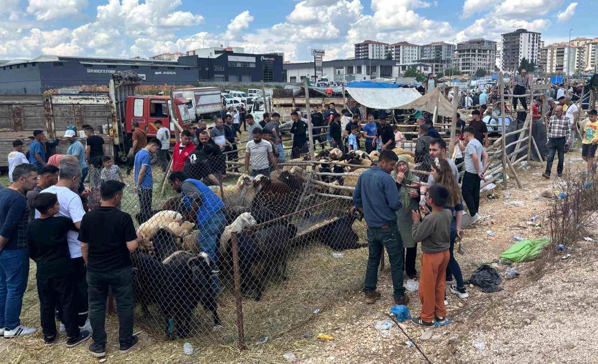 Gaziantep’te Kurban Pazarları Yoğun