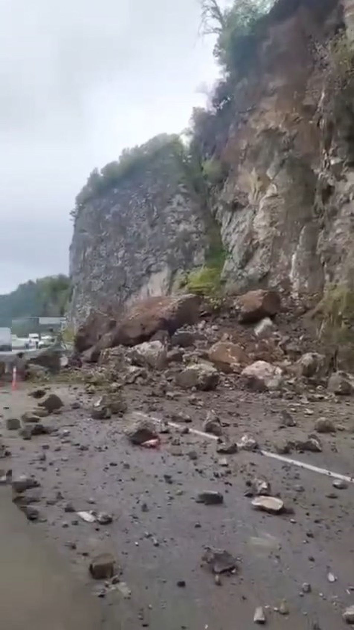 Artvin’de Heyelan: Yol Kapandı, TIR Zarar Gördü