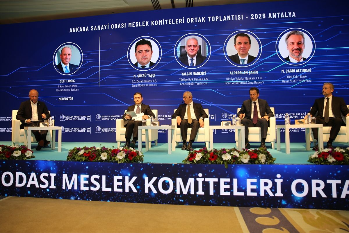 Sanayicinin Finansmana Erişimi Paneli