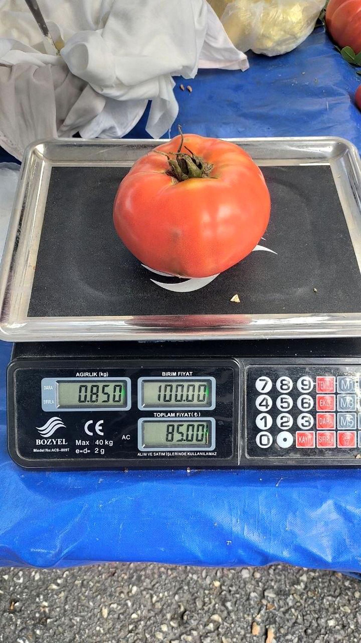Aydın’da Bayram Pazarı Hareketlendi