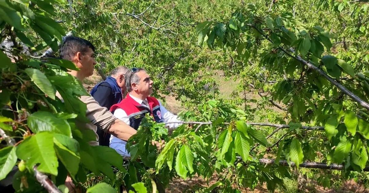 Kuyucak’ta Dolu Zararı İncelendi