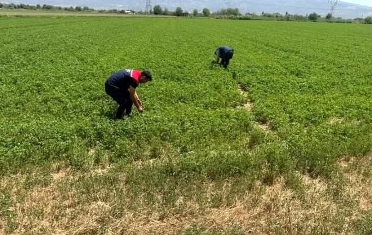 Aydın’da Kuraklıkla Mücadele Çalışmaları