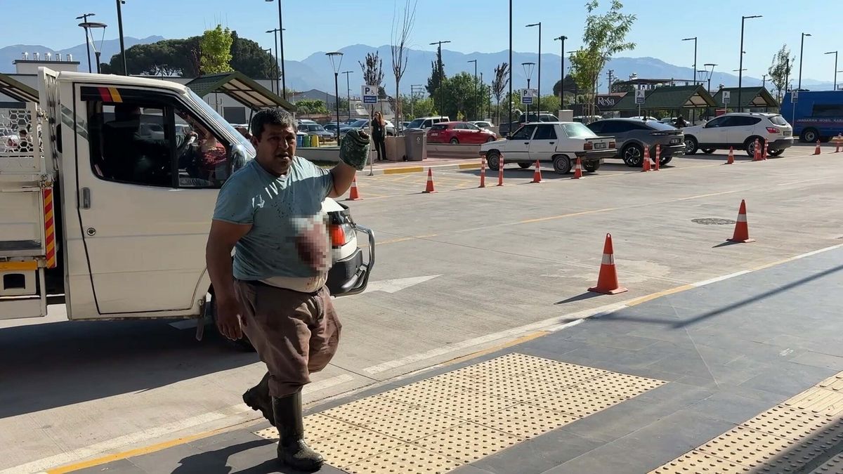 Aydın’da Kurban Kesimi Sırasında Yaralanmalar