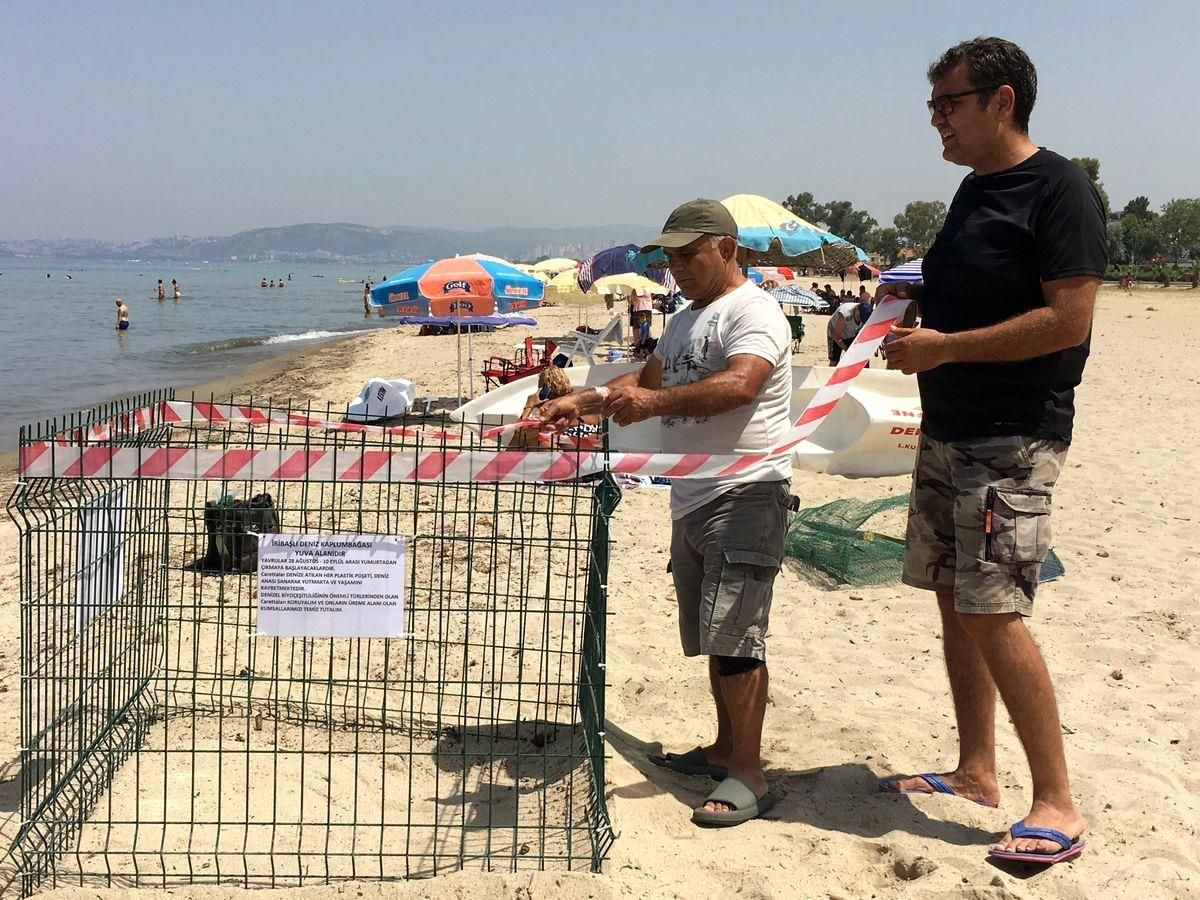 Kuşadası ve Didim’de Deniz Kaplumbağası Yuvalama Artışı