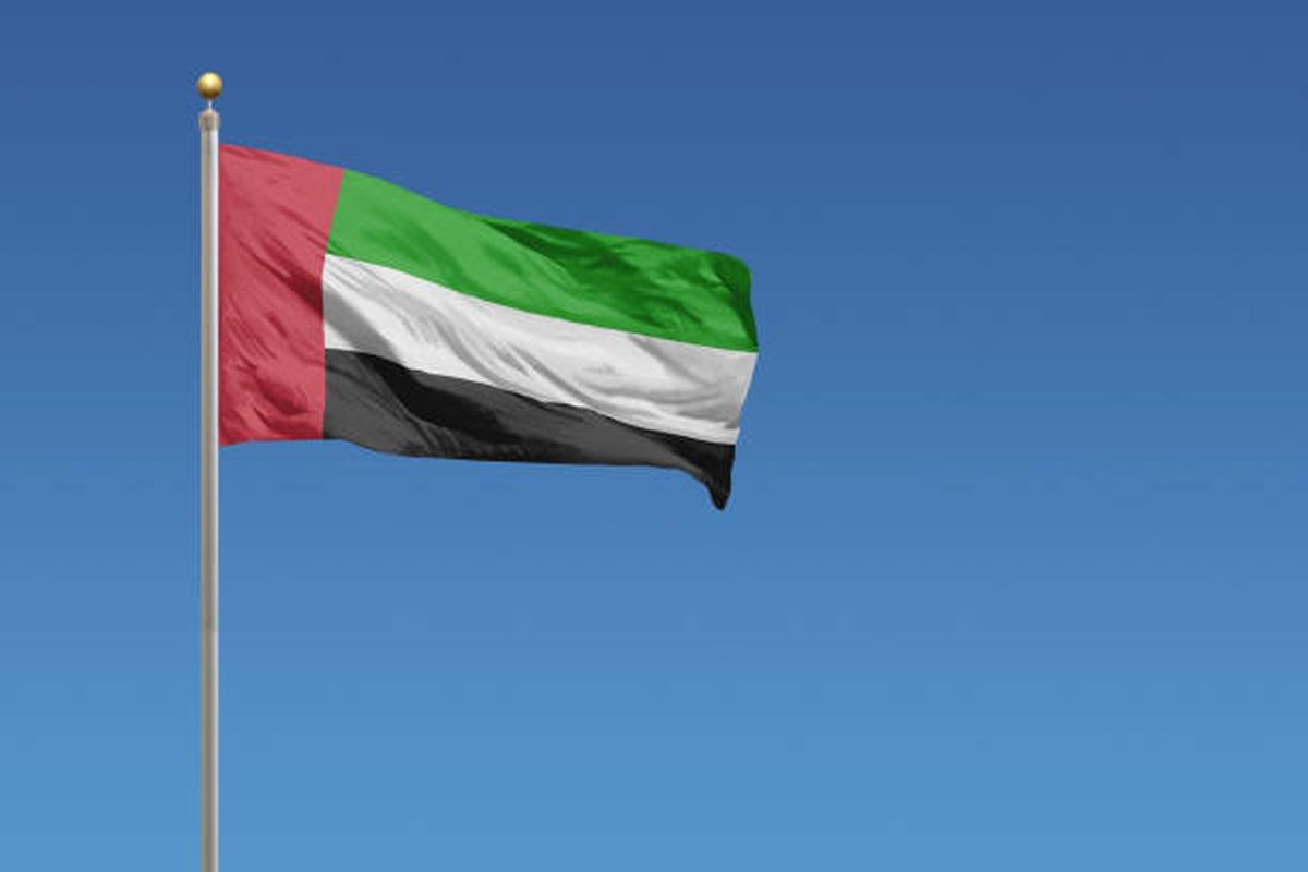 BAE, Irak’tan Gelen İHA’lara Müdahale Etti