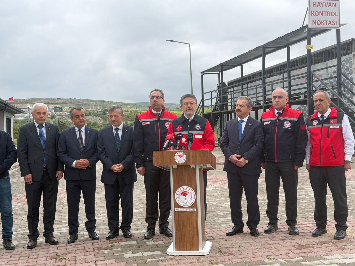 Kurbanlık Hayvan Arzında Sorun Yok