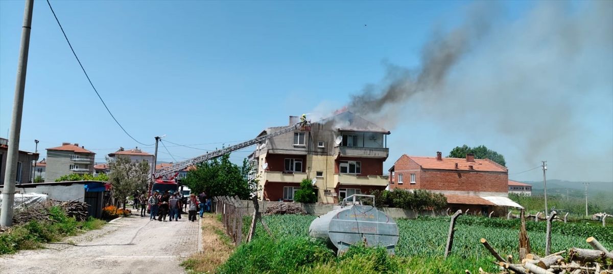 Savaştepe’de Baca Yangını