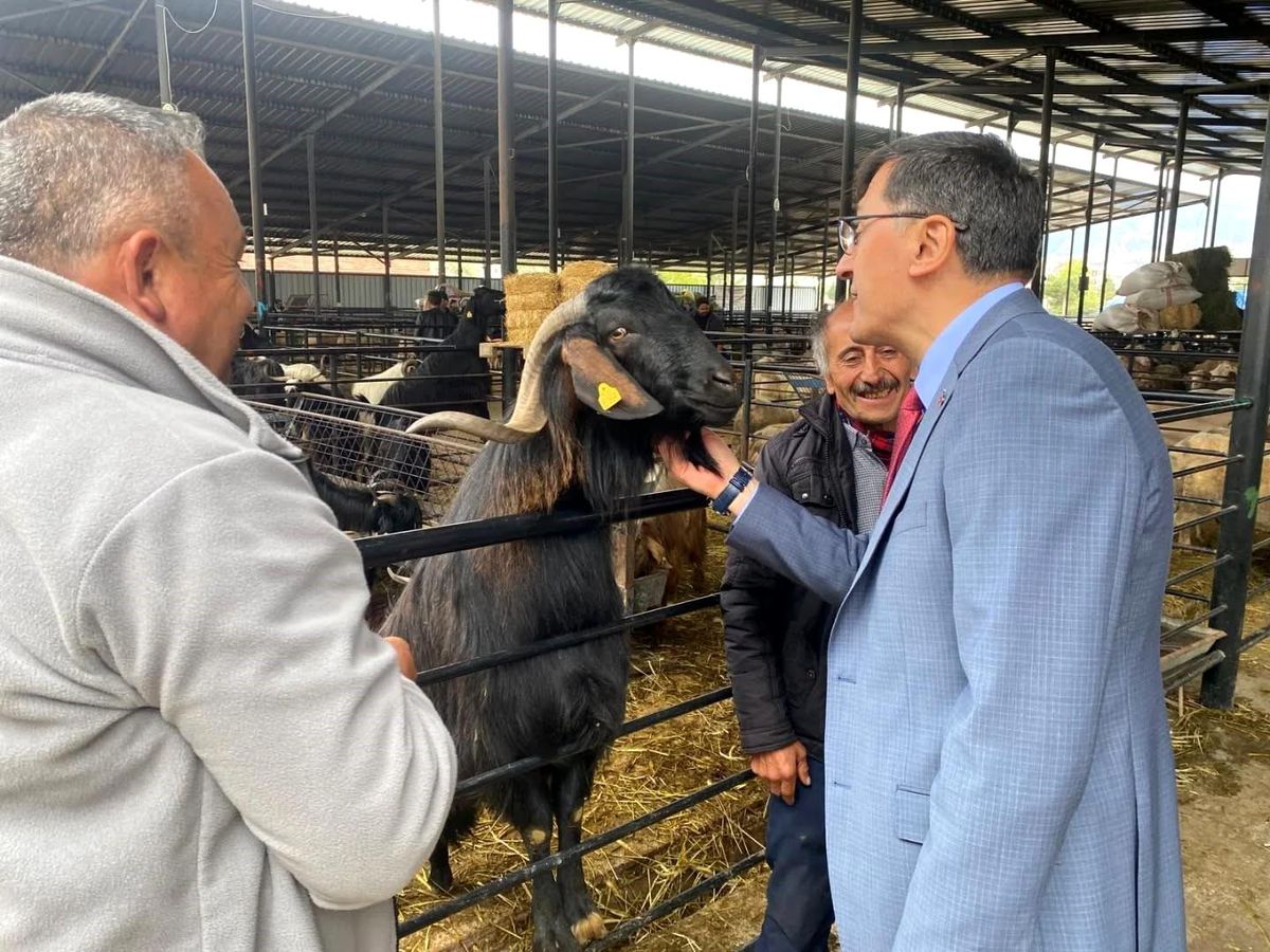 Başkan Eyüp Kahveci’den Kurban Pazarı ziyareti