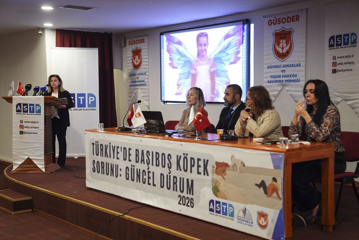 Başıboş Köpek Sorunu Paneli