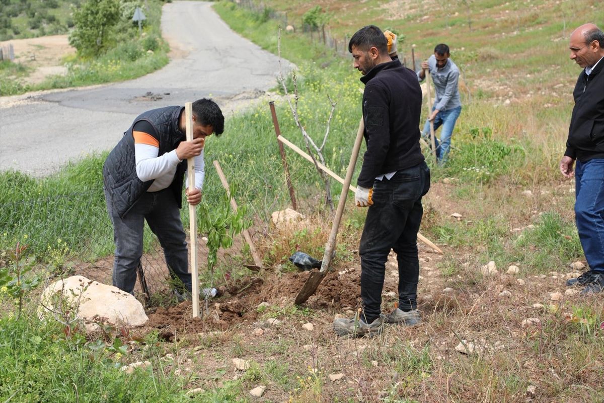 Hasankeyf’te Yeşil Kuşak Projesi