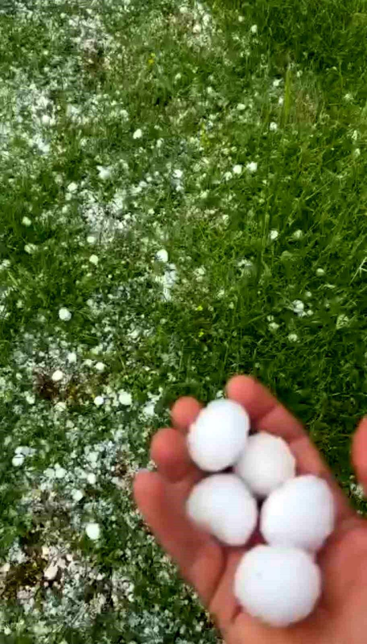 Kozluk’ta Ceviz Büyüklüğünde Dolu Yağışı