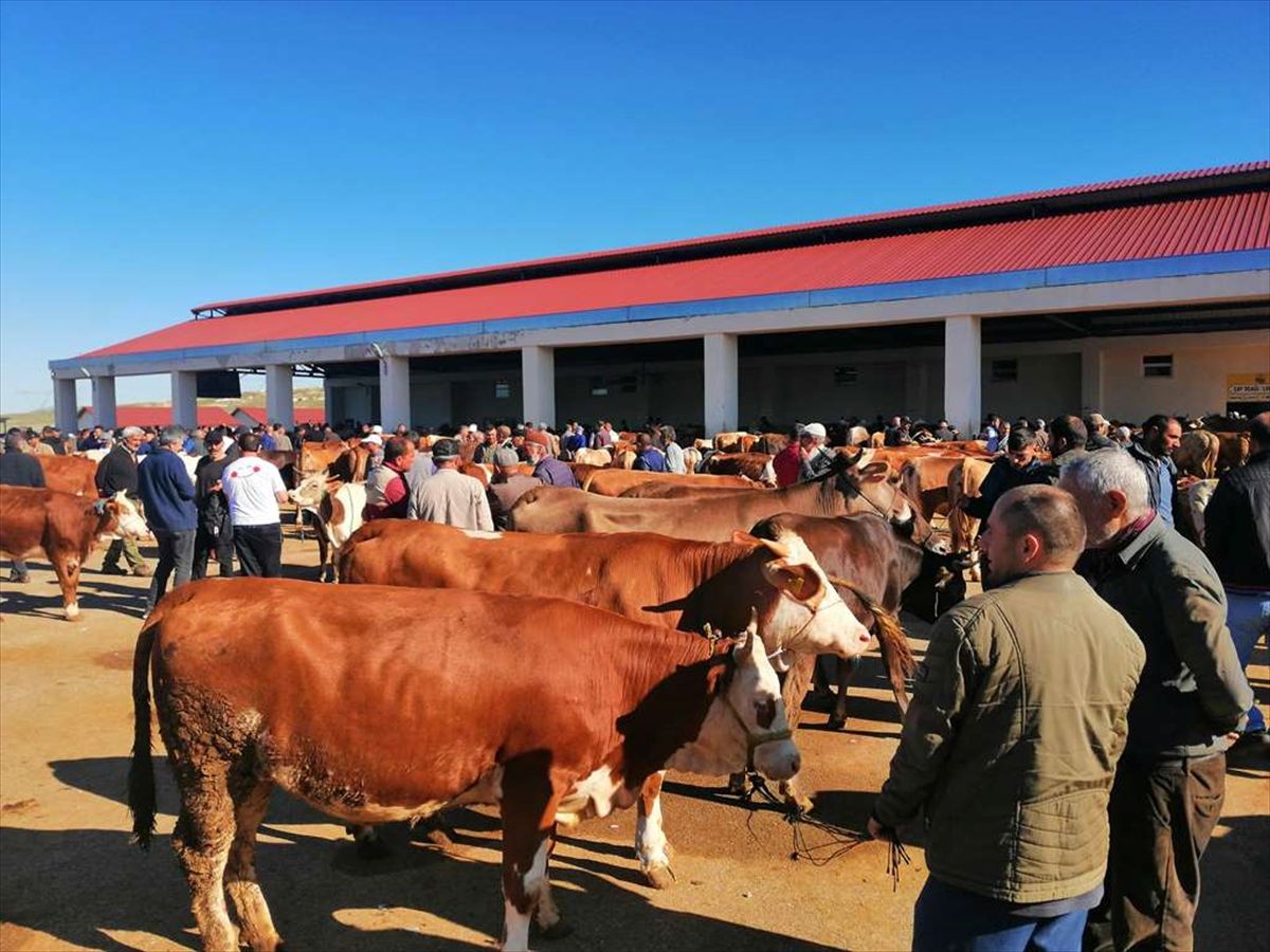 Bayburt’ta Kurban Bayramı Hazırlıkları