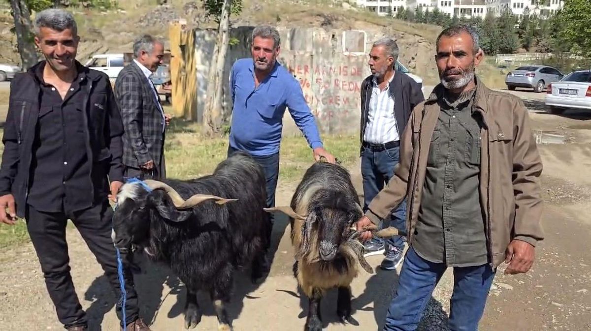 Çermik’te Kurbanlık Hayvanlara İlgi