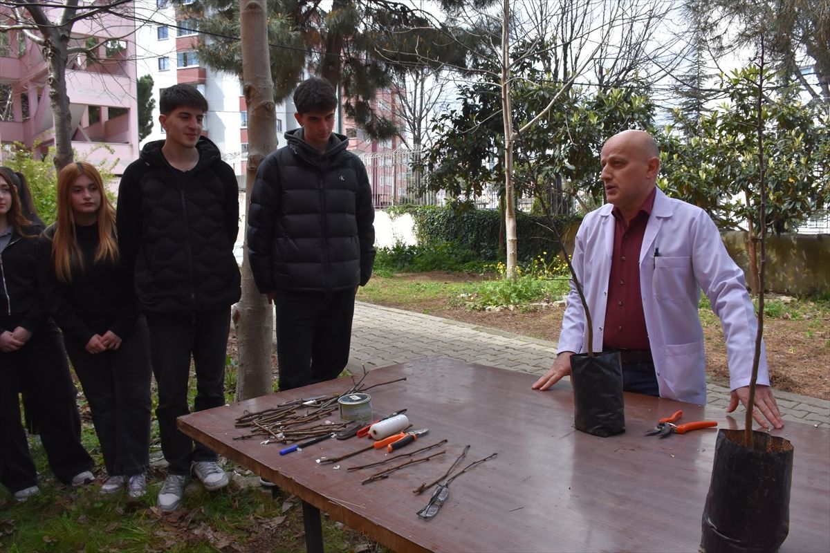 Yöresel Meyveleri Yaşatıyor