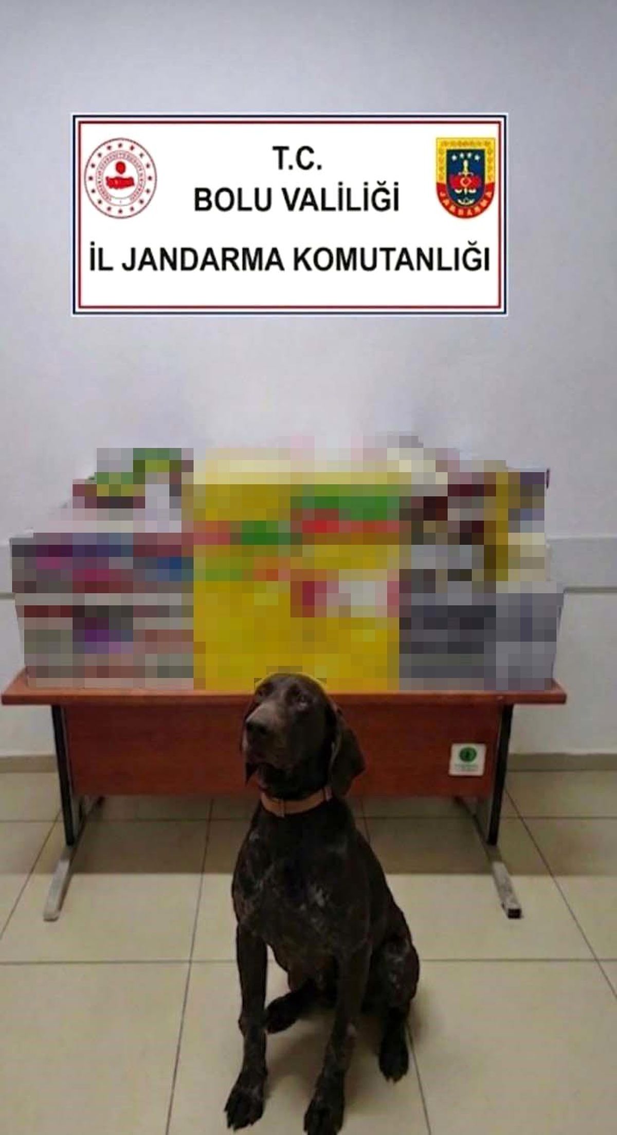 Bolu’da Kaçak Sigara Operasyonu