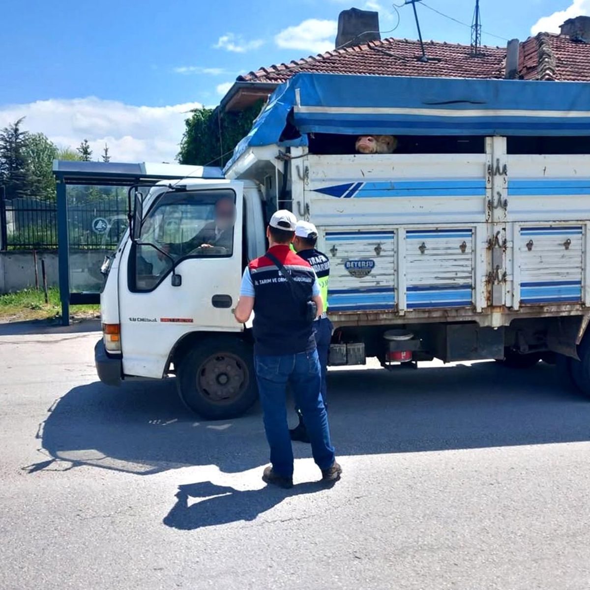Bolu’da Kurban Bayramı Kontrolleri