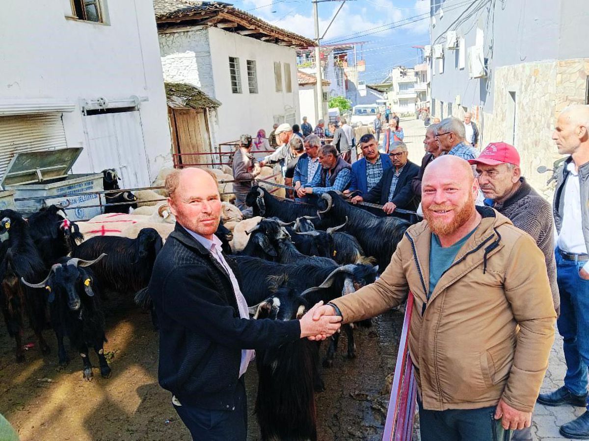 Yazıkent’te Kurban Pazarı Hareketlendi