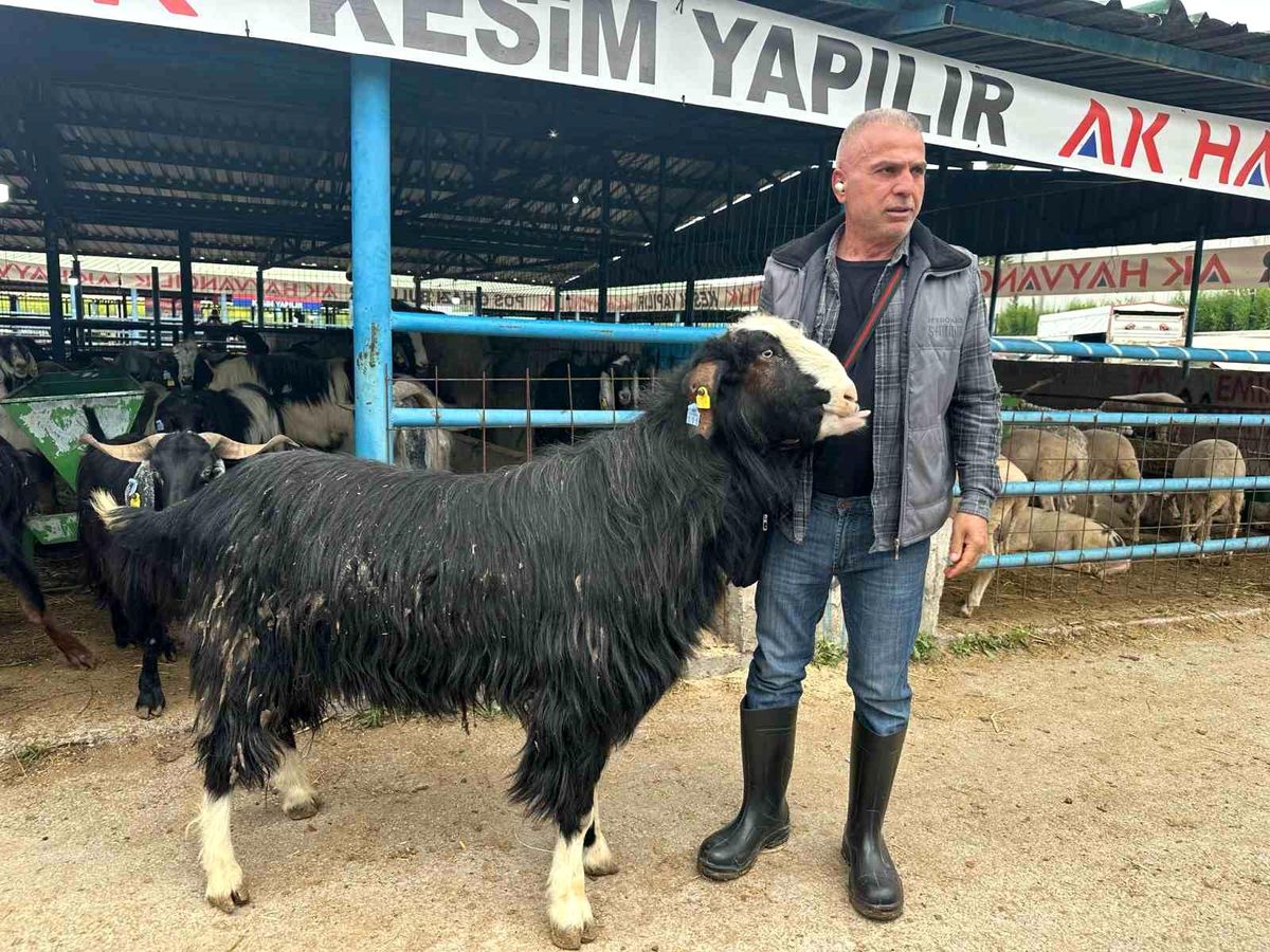 Yıldırım’da Kurban Pazarı Hareketli