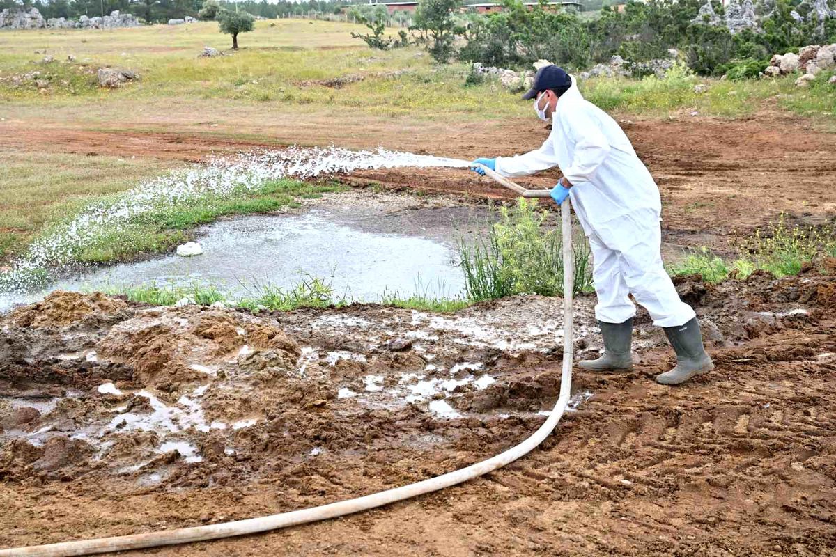 Büyükşehir’den kurban satış alanlarında ilaçlama