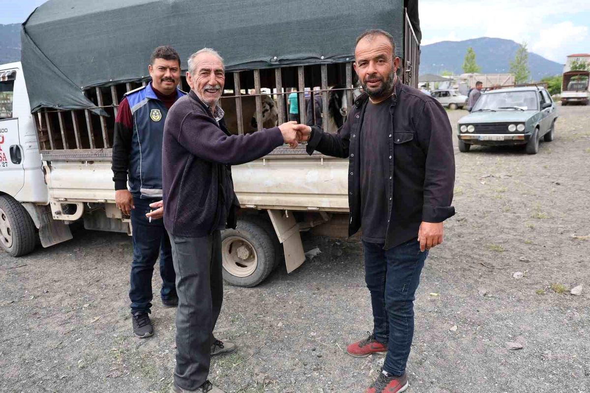 Çameli Kurban Pazarında bayram yoğunluğu ve sıkı denetim başladı