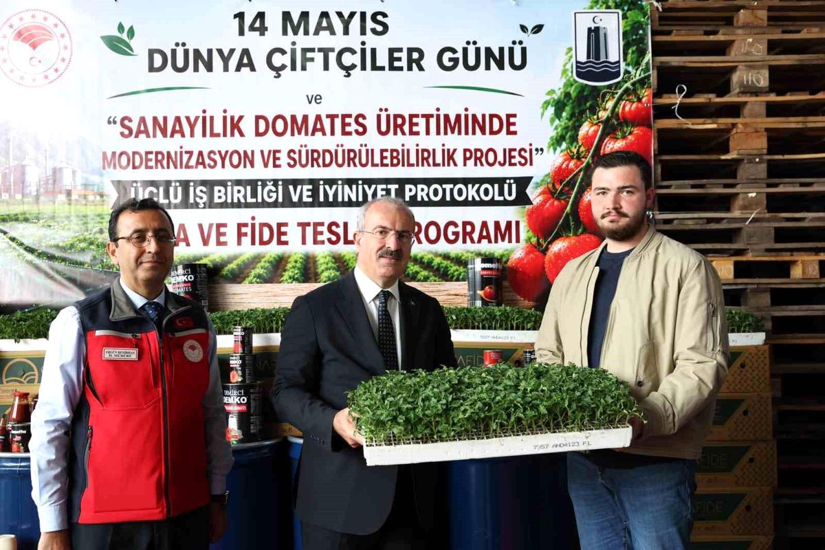 Çanakkale’de 804 Bin Domates Fidesi Dağıtıldı