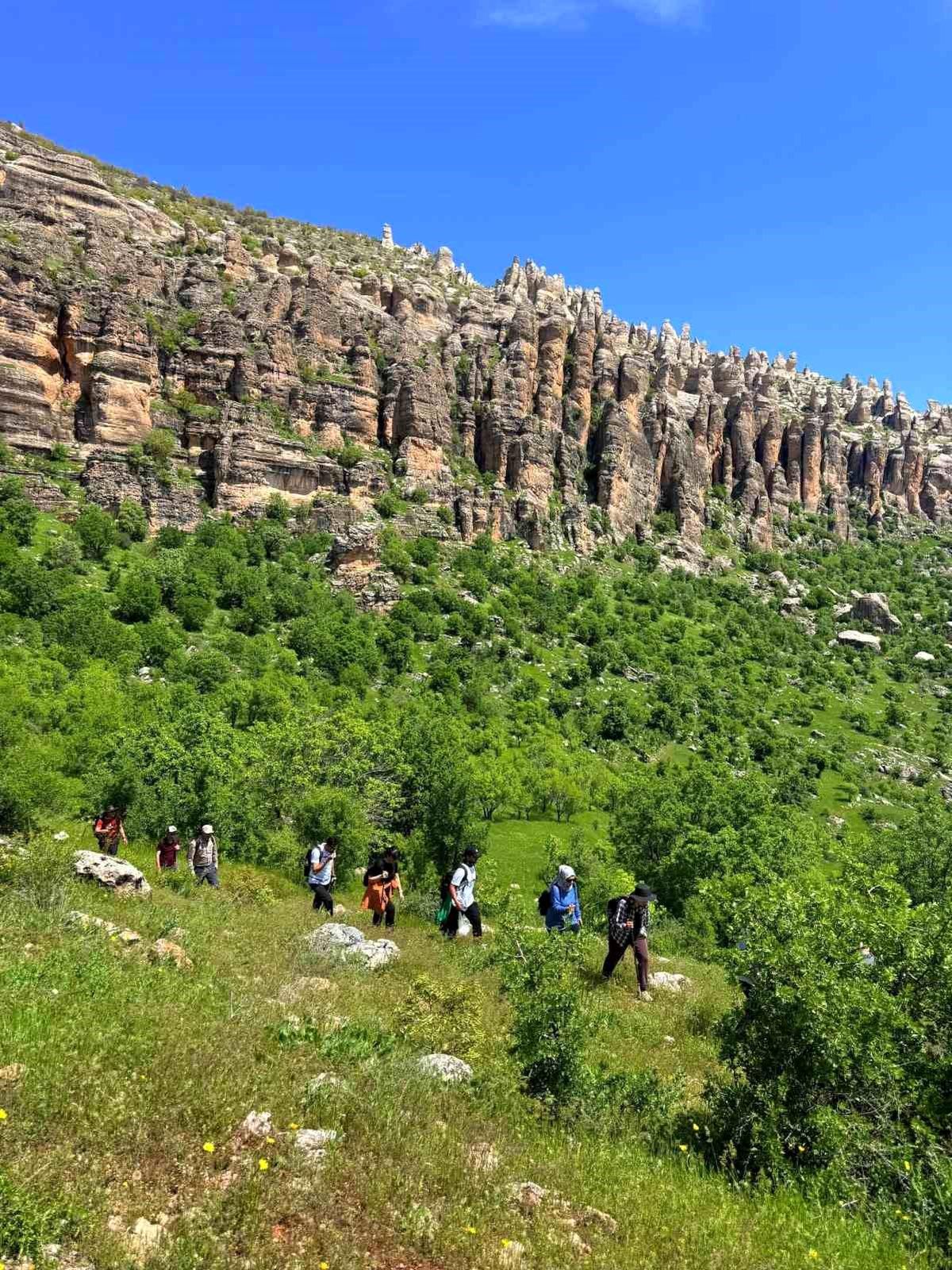 Diyarbakır’ın Gözdesi: Gelincik Dağı