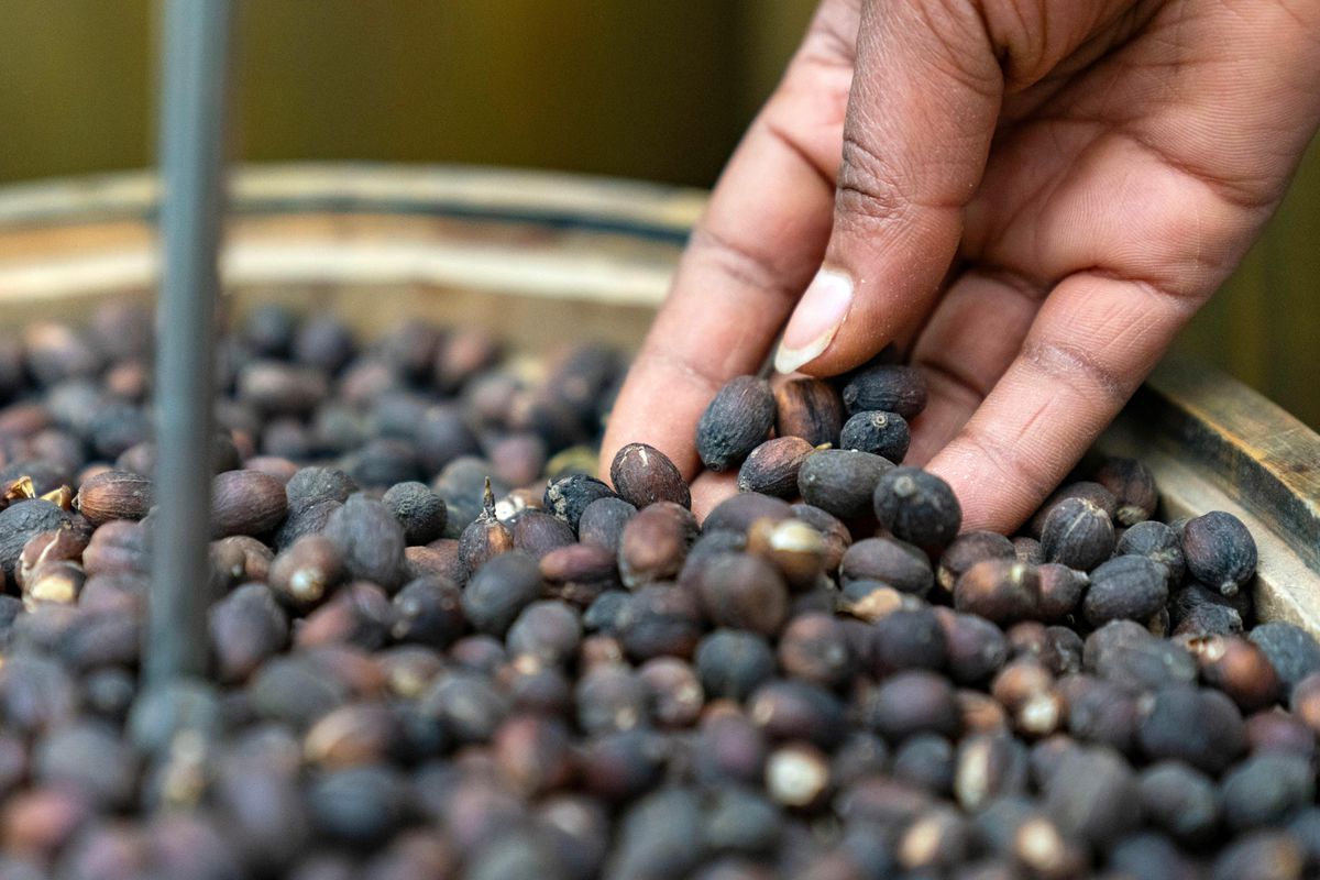 Çin, Afrika Kahve İthalatında Yeni Dönem