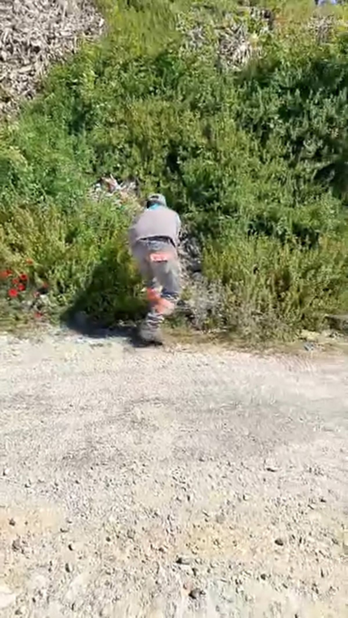 Çöp Konteynerinden Kurtarılan Kaplumbağa