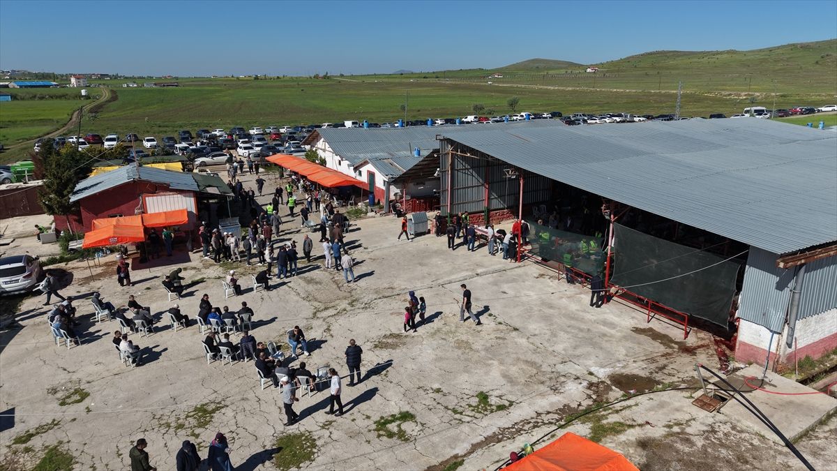 Çubuk’ta Kurban Bayramı Hareketliliği