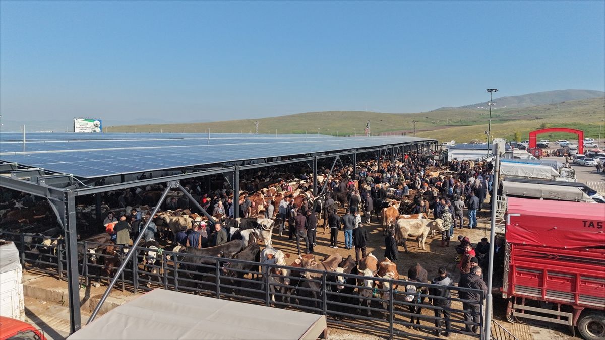Çubuk’ta Kurban Bayramı Yoğunluğu