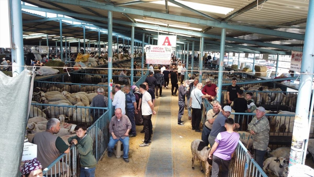Denizli’de Kurban Bayramı Hareketliliği