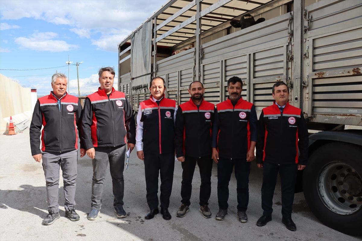 Kurbanlıklar Erzincan’da Kontrolden Geçiyor