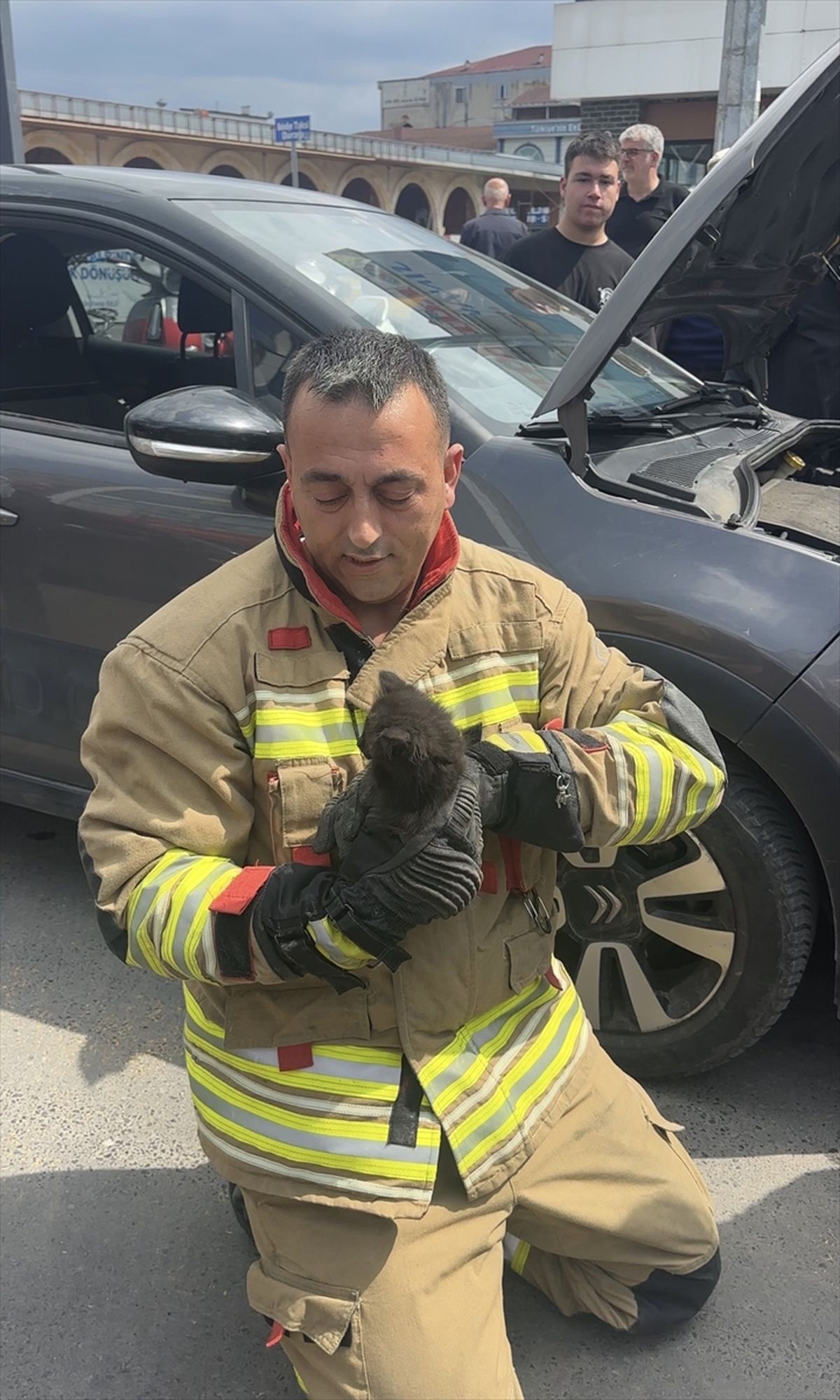 Düzce’de Kedi Yavrusu İtfaiye Tarafından Kurtarıldı