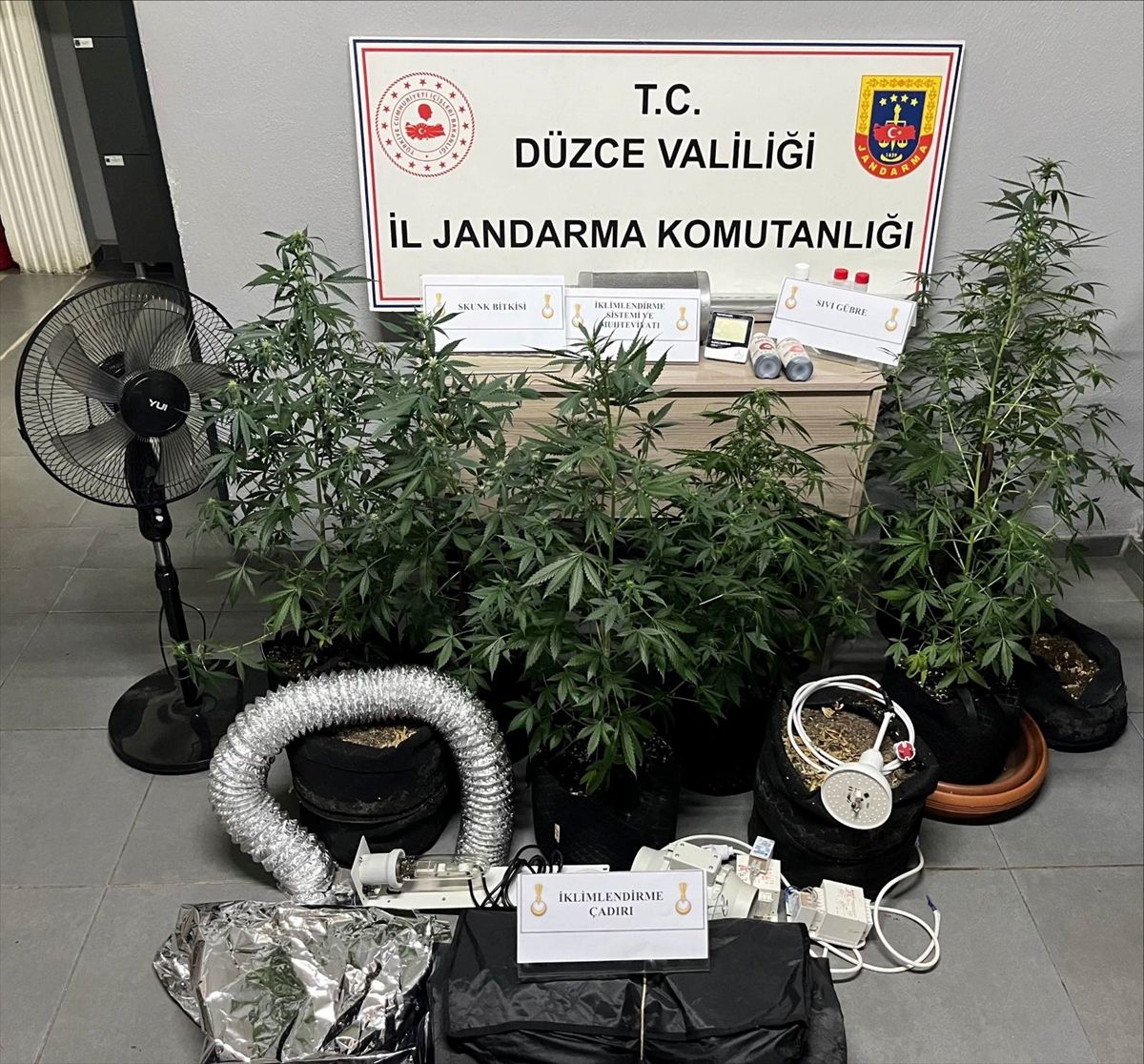 Düzce’de Uyuşturucu Yetiştiren Şüpheli Gözaltında