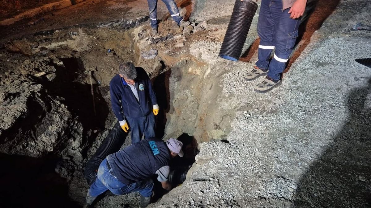 Keşan Dallık Şenliği Coşkuyla Gerçekleşti