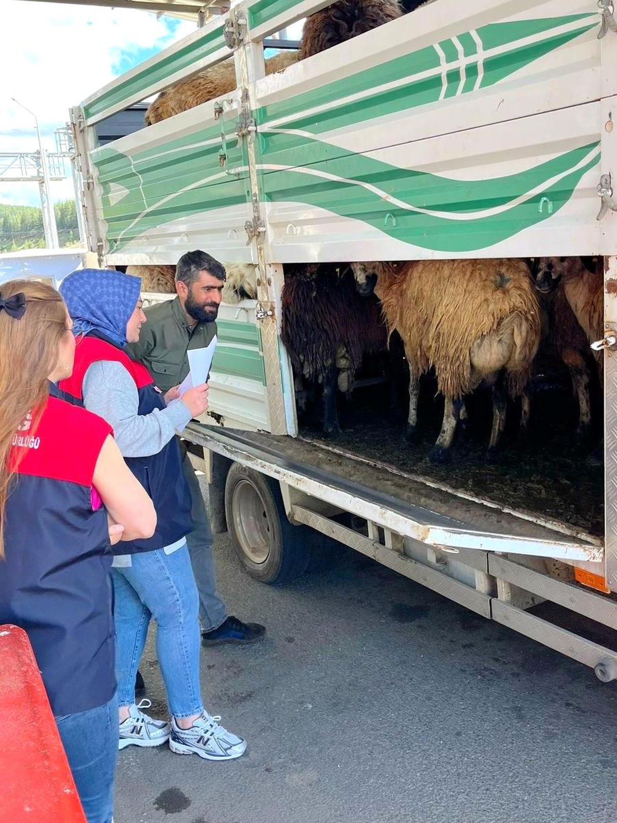 Kurban Bayramı Öncesi Hayvan Denetimleri Sürüyor