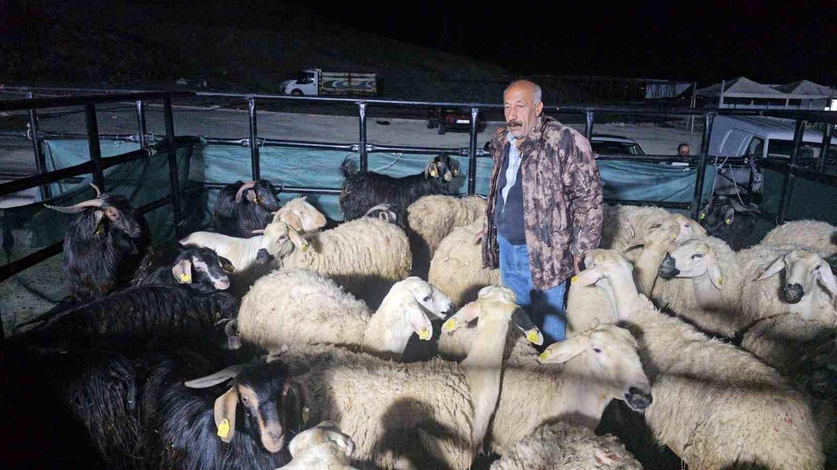 Elazığ’da Kurban Pazarı Hareketliliği